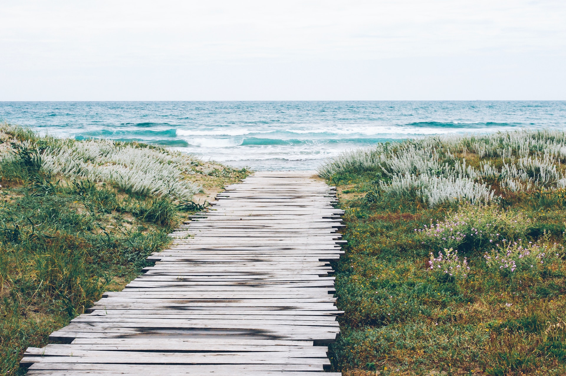 The Children of God – Part Two