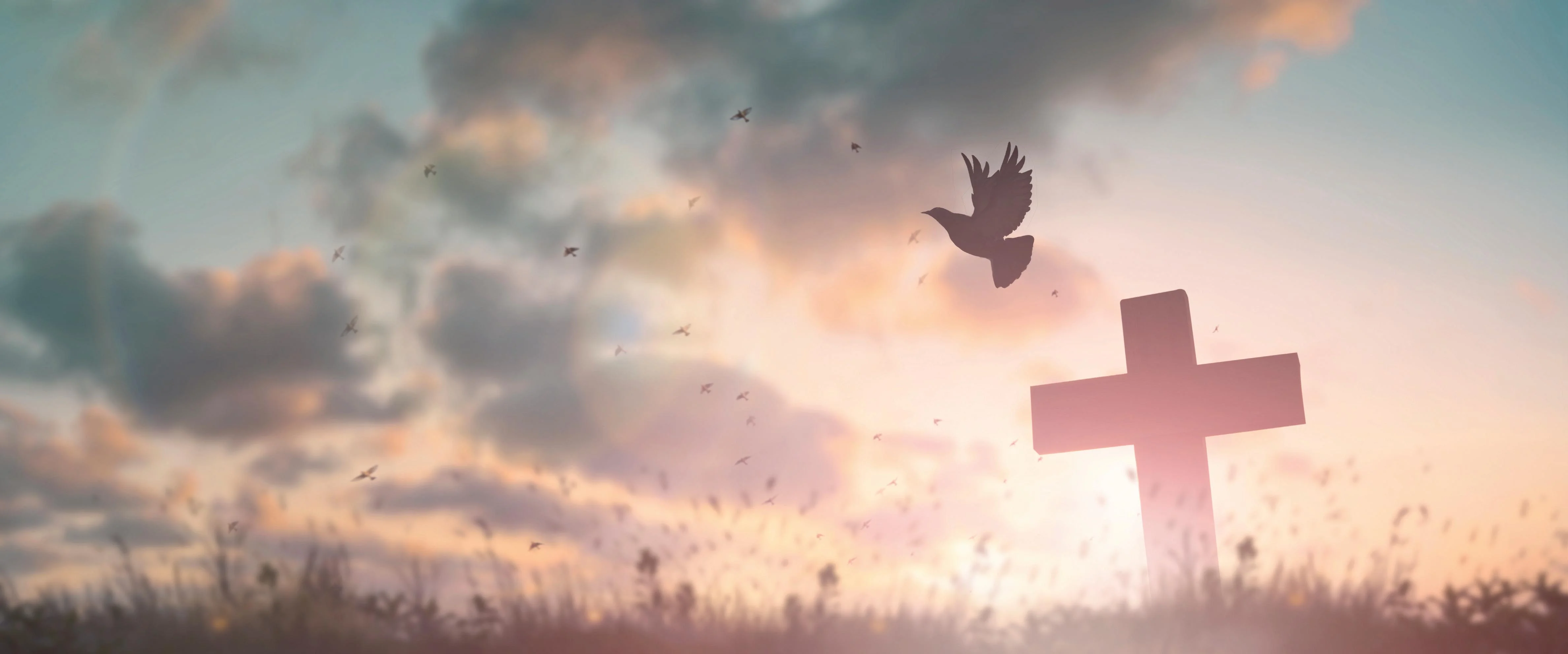 Let Us Love – Part Two
