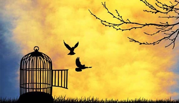 For Freedom’s Sake