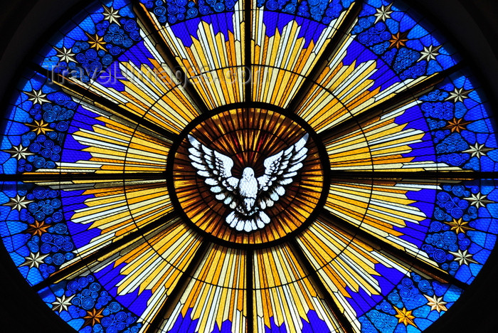The Divine Gospel