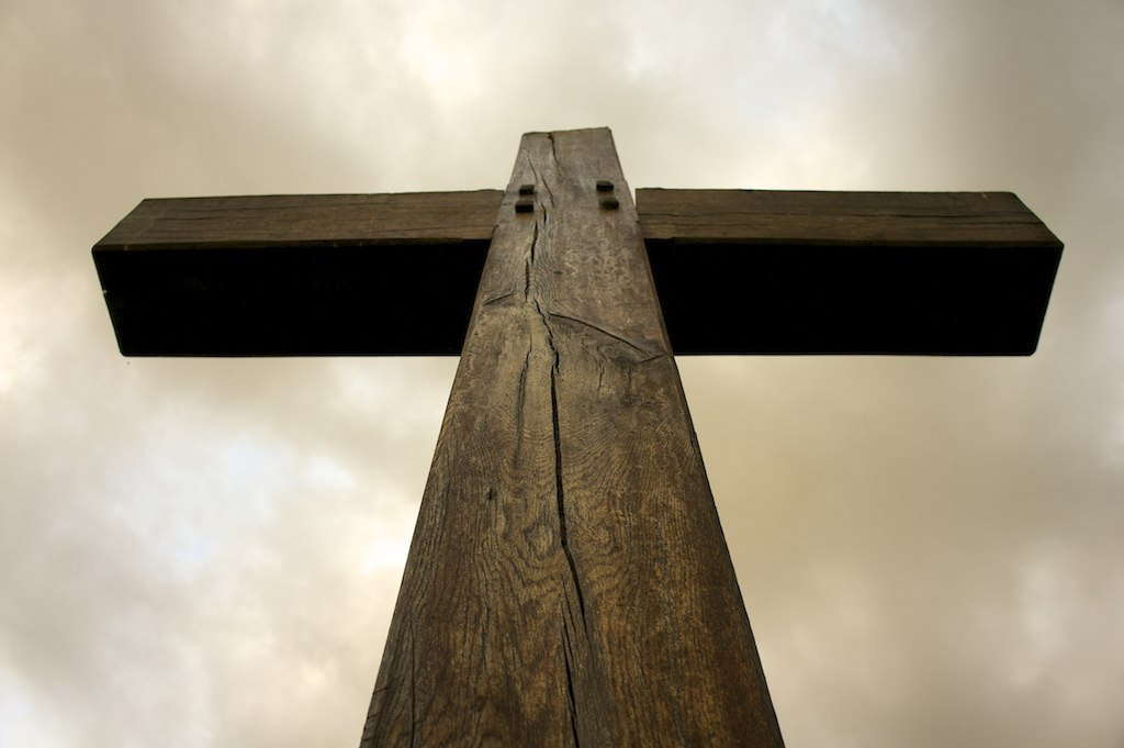 Redeemed from the Curse