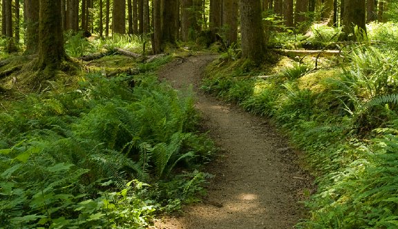 A Tale of Two Cities – Part 2