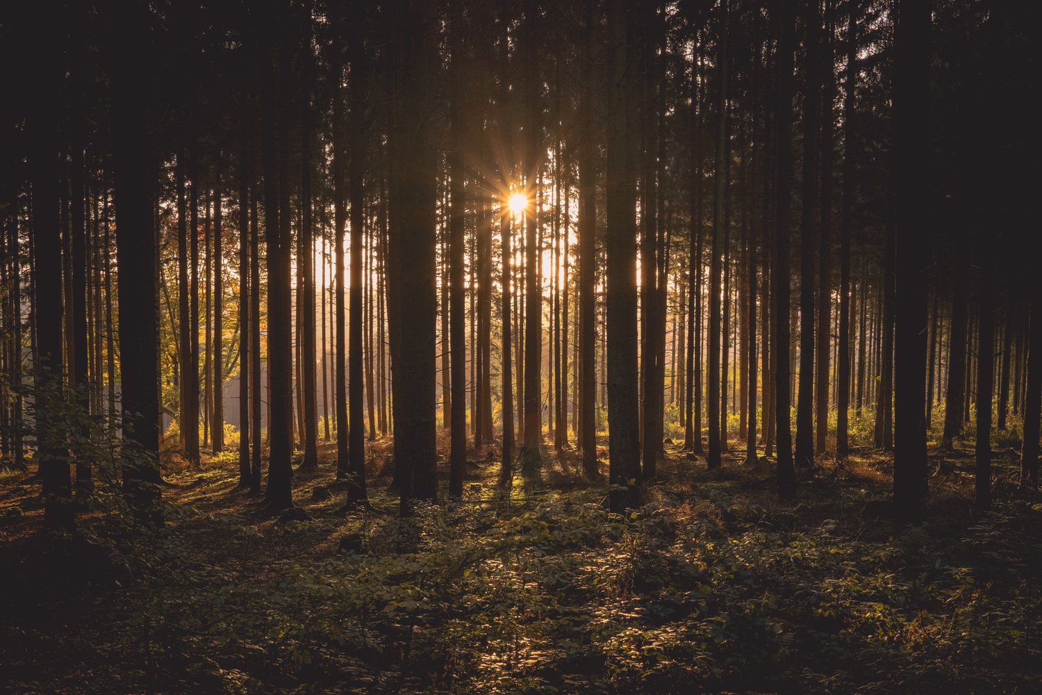 The Gift of Rest