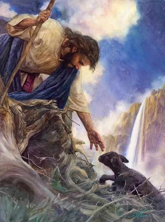 Jesus: The True Door and The Good Shepherd