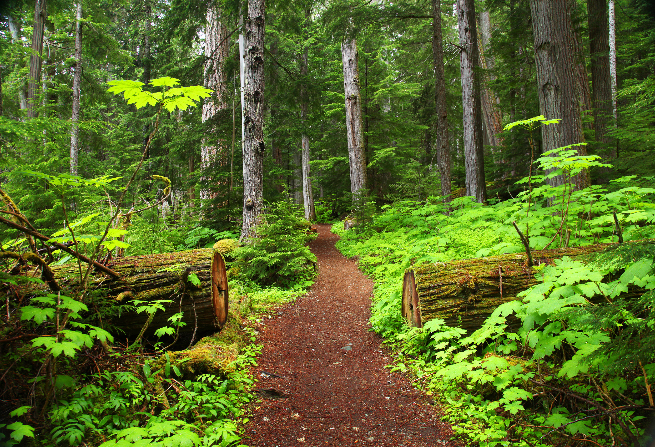 Jesus: The Way to the Father’s House