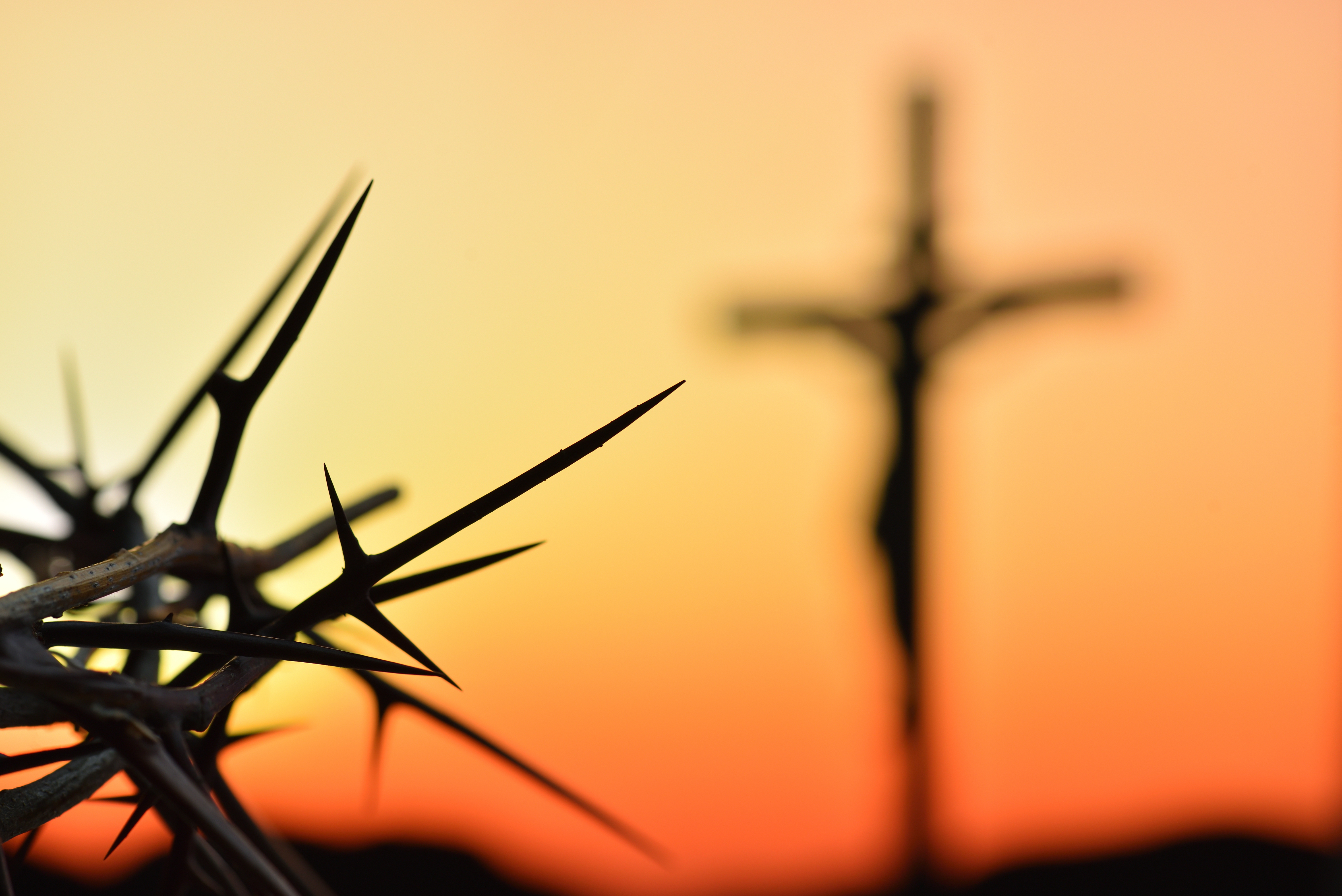 Jesus: Hated by the World
