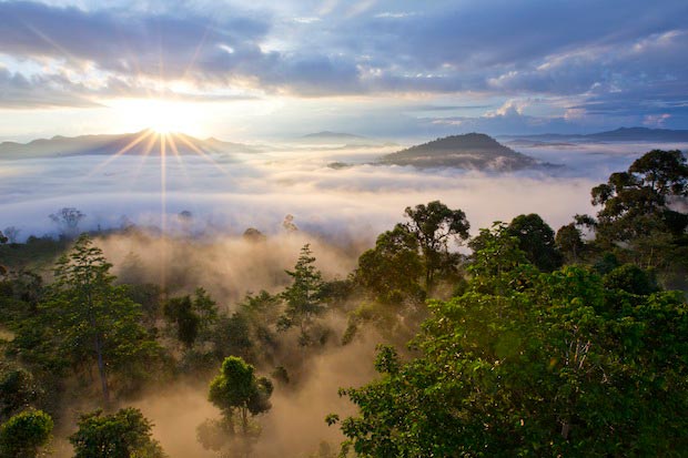 The Reward of Heaven